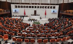 Van Gölü Deveboynu Yarımadası, Türkiye'nin 54. milli parkı oldu