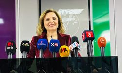 Doğan’dan bütçeye eleştiri: Barış süreci için kalem yok