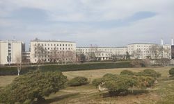Sekiz ilde bahis operasyonu: 59 şüpheli gözaltında