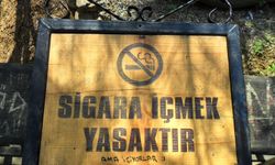 Esen’den dumansız hava hakkı için yeni kanun çağrısı